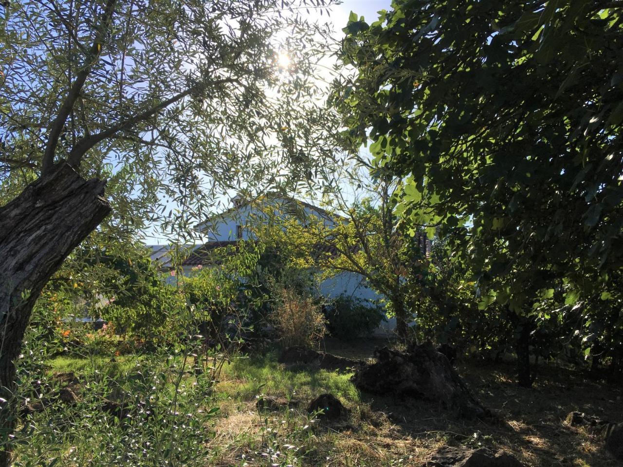 Finca Horno De Cal Aracena Exteriör bild